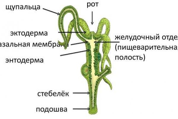 Кракен наркоплощадка