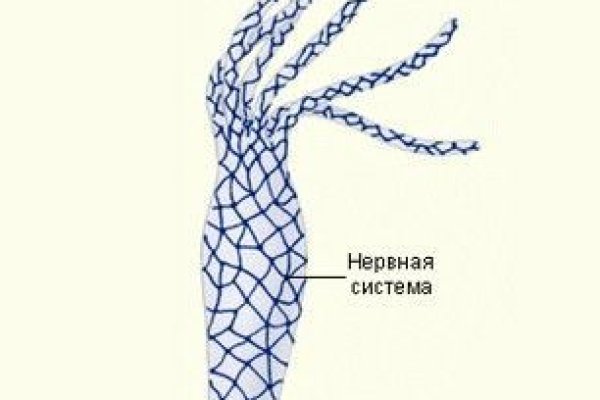 Кракен сайт бошки