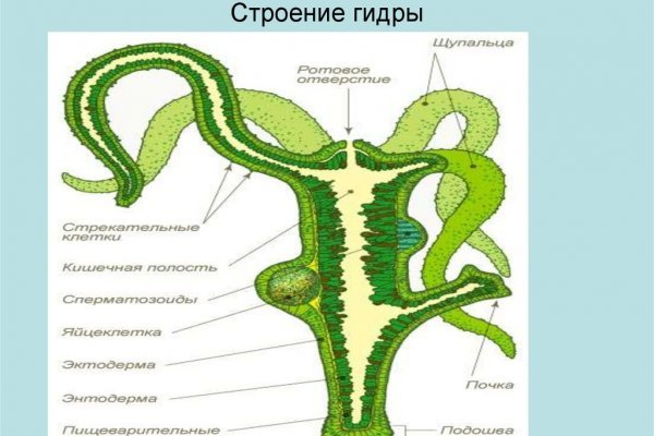 Kraken market ссылка тор